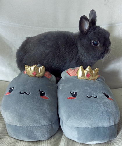 Hime Slippers